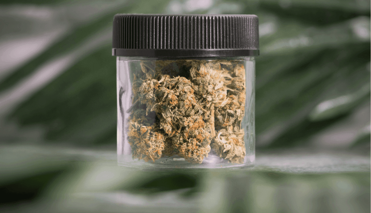 Gefäß mit Cannabisblüten